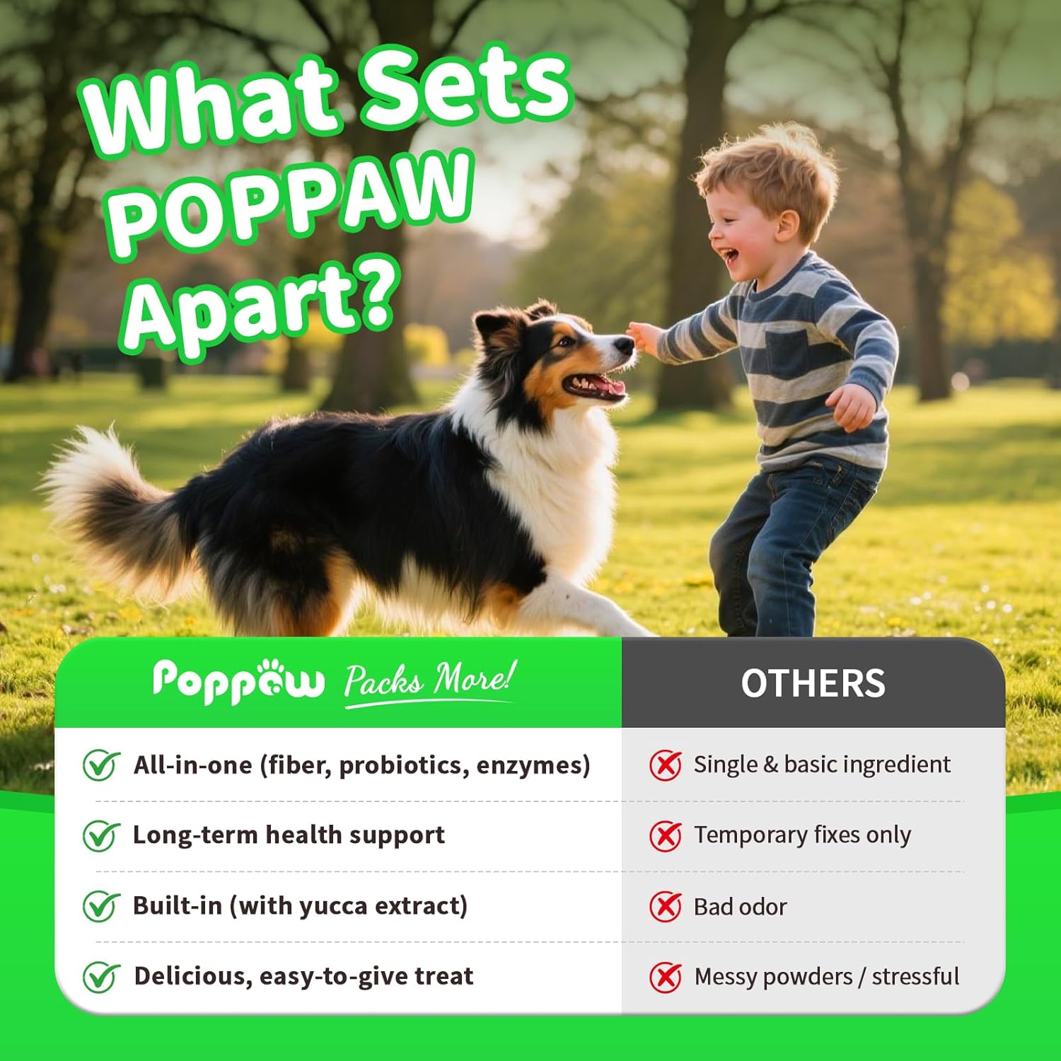 Dog Probiotics Digestive Enzymes,Pumpkin Fiber Chews For Gut Health, Constipation Upset Stomach Reli